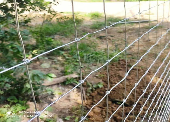 Hot Dipped Galvanized Field Fence Excellent Corrosion